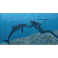 Forever Blue / Endless Ocean thumbnail 2