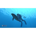 Forever Blue / Endless Ocean thumbnail 3