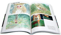 The Art Of The Princess Mononoke thumbnail 5