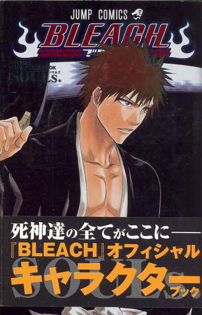 Bleach Official Character Book Souls image 1