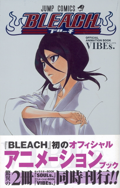 Bleach Official Animation Book Vibes