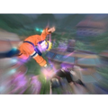 Naruto: Clash of Ninja Revolution Revolution thumbnail 5