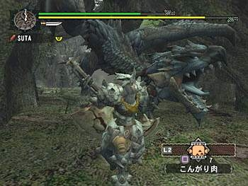 Monster Hunter G (PlayStation2 the Best) image 4