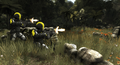 HAZE thumbnail 5