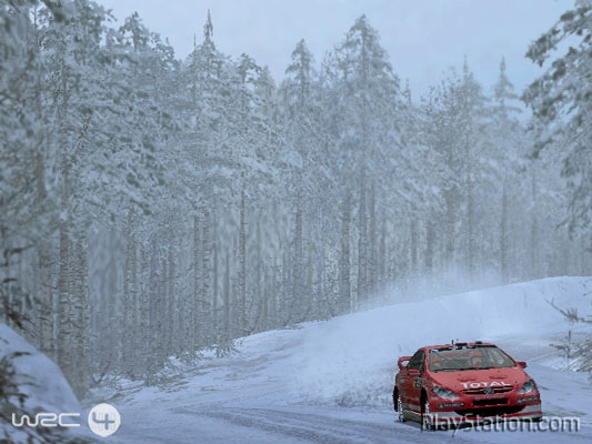 WRC4 image 10
