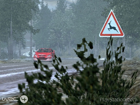WRC4 image 11
