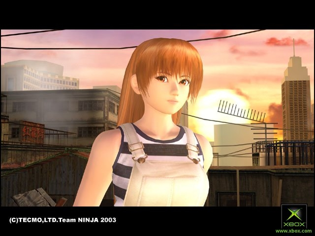 Dead or Alive Ultimate image 2