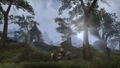 The Elder Scrolls Online: Tamriel Unlimited thumbnail 16