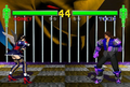 Fighting Vipers 2 thumbnail 13