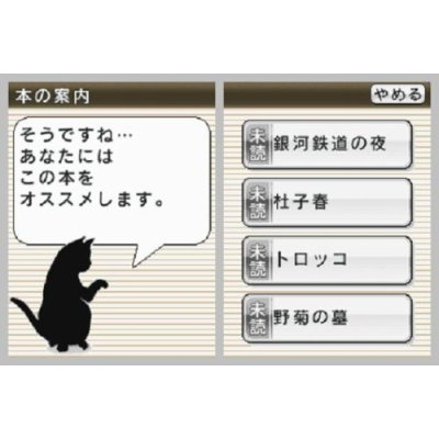 DS Bungaku Zenshuu image 2