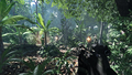 Crysis (DVD-ROM) thumbnail 3