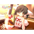 Finalist (Princess Soft Collection) thumbnail 5