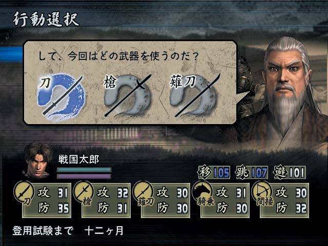 Sengoku Musou image 16