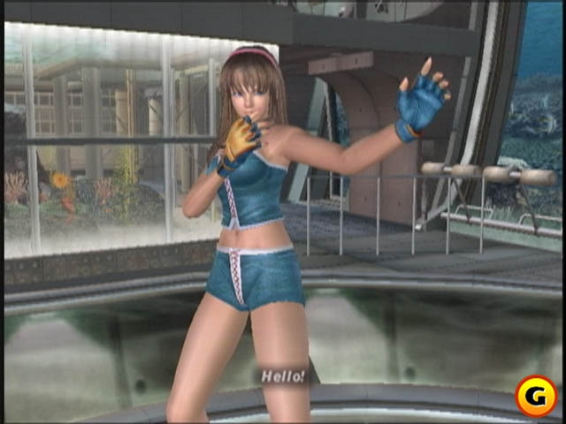 Dead or Alive 3 image 11