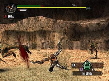 Monster Hunter G image 12