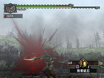 Monster Hunter G image 3