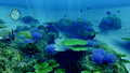 Endless Ocean: Dive, Discover, Dream thumbnail 3