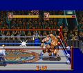 Muscle Bomber: The Body Explosion thumbnail 2