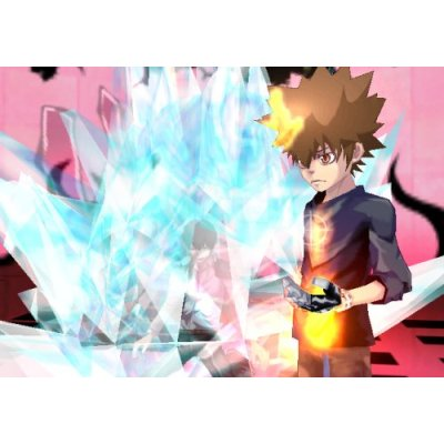 Kateikyoushi Hitman Reborn! Dream Hyper Battle! Wii image 3