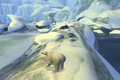 National Geographic: Arctic Tale thumbnail 2