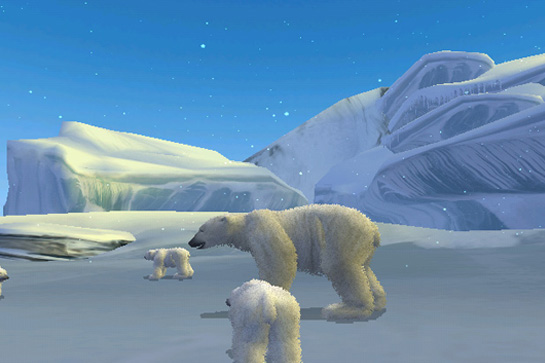 National Geographic: Arctic Tale image 5