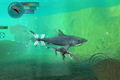 Sea Monsters: A Prehistoric Adventure thumbnail 2