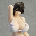 Witchblade 1/7 Scale Pre-Painted PVC Figure: Tsuduki Shiori thumbnail 2