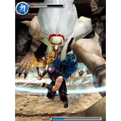 Ninja Gaiden: Dragon Sword image 3
