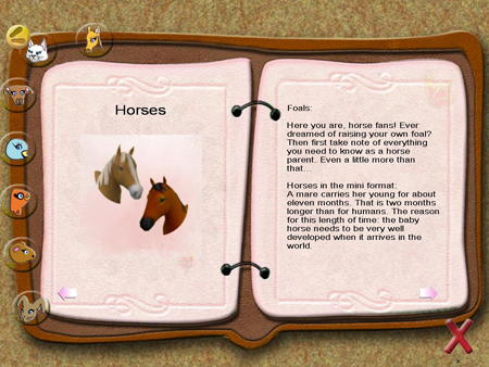Paws & Claws: Pet Resort image 3