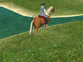 Paws & Claws: Pet Resort thumbnail 4