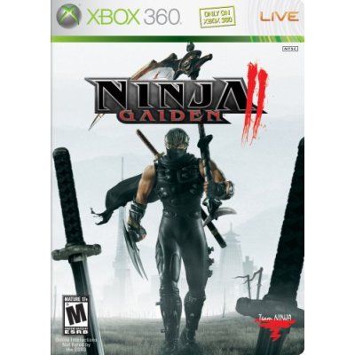 Ninja Gaiden 2 image 1