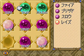 Final Fantasy Crystal Chronicles thumbnail 6
