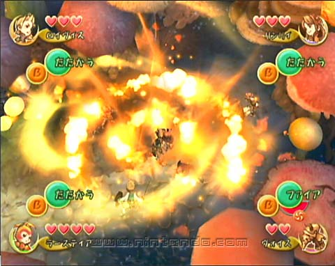 Final Fantasy Crystal Chronicles image 8