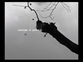 wordimagesoundplay thumbnail 17