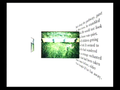 wordimagesoundplay thumbnail 2