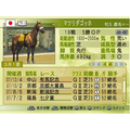 Winning Post 7 Maximum 2008 thumbnail 4