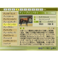 Winning Post 7 Maximum 2008 thumbnail 5