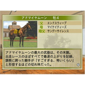 Winning Post 7 Maximum 2008 thumbnail 3