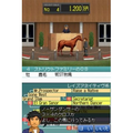 Derby Stallion DS thumbnail 2