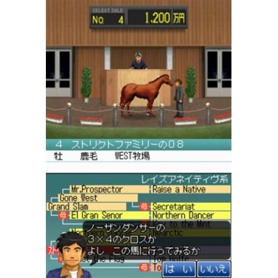Derby Stallion DS image 2