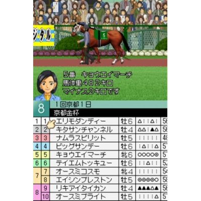 Derby Stallion DS image 3