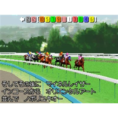 Derby Stallion DS image 4