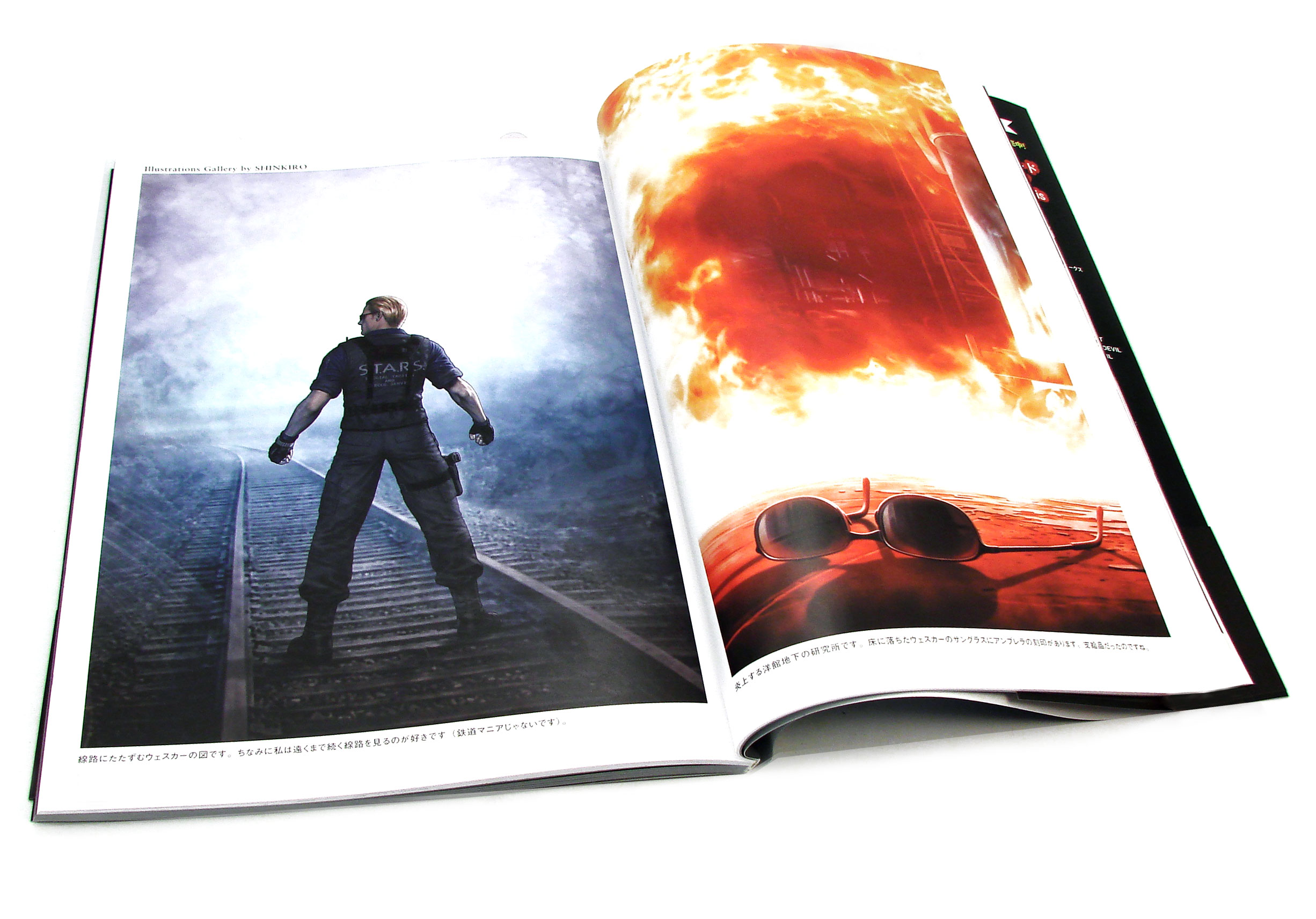 Biohazard the Umbrella Chronicles: Art of Arts Biohazard the Umbrella Chronicles: Art of Arts