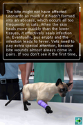 Pet Pals: Animal Doctor thumbnail 3