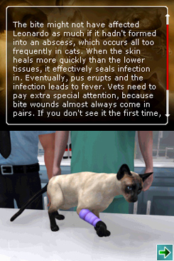 Pet Pals: Animal Doctor image 3