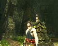 Age of Conan: Hyborian Adventures Collector's Edition (DVD-ROM) thumbnail 2