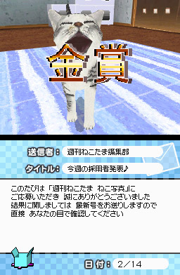 Yume Neko DS image 4