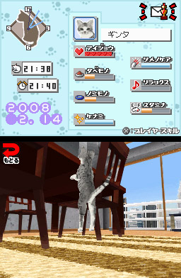 Yume Neko DS image 5