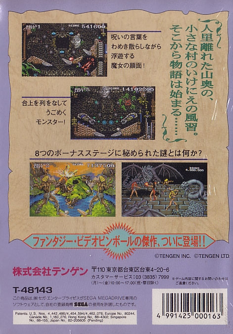 Dragon's Revenge image 2