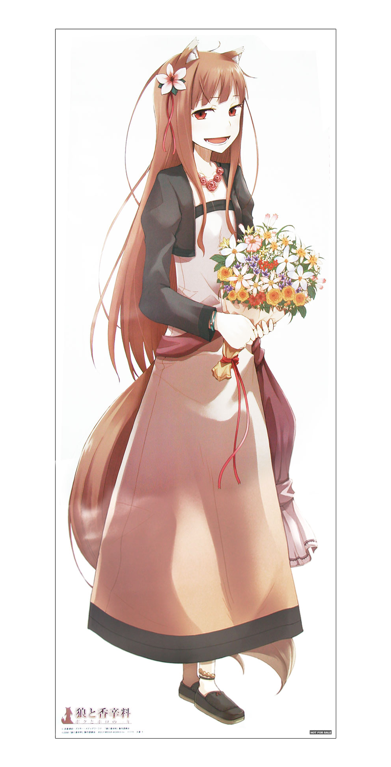 Ookami to Koushinryou: Boku to Horo no Ichinen [Limited Edition] image 3